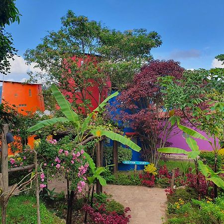 Chameleon Hill Forest Lodge Bwindi Impenetrable Park Екстериор снимка