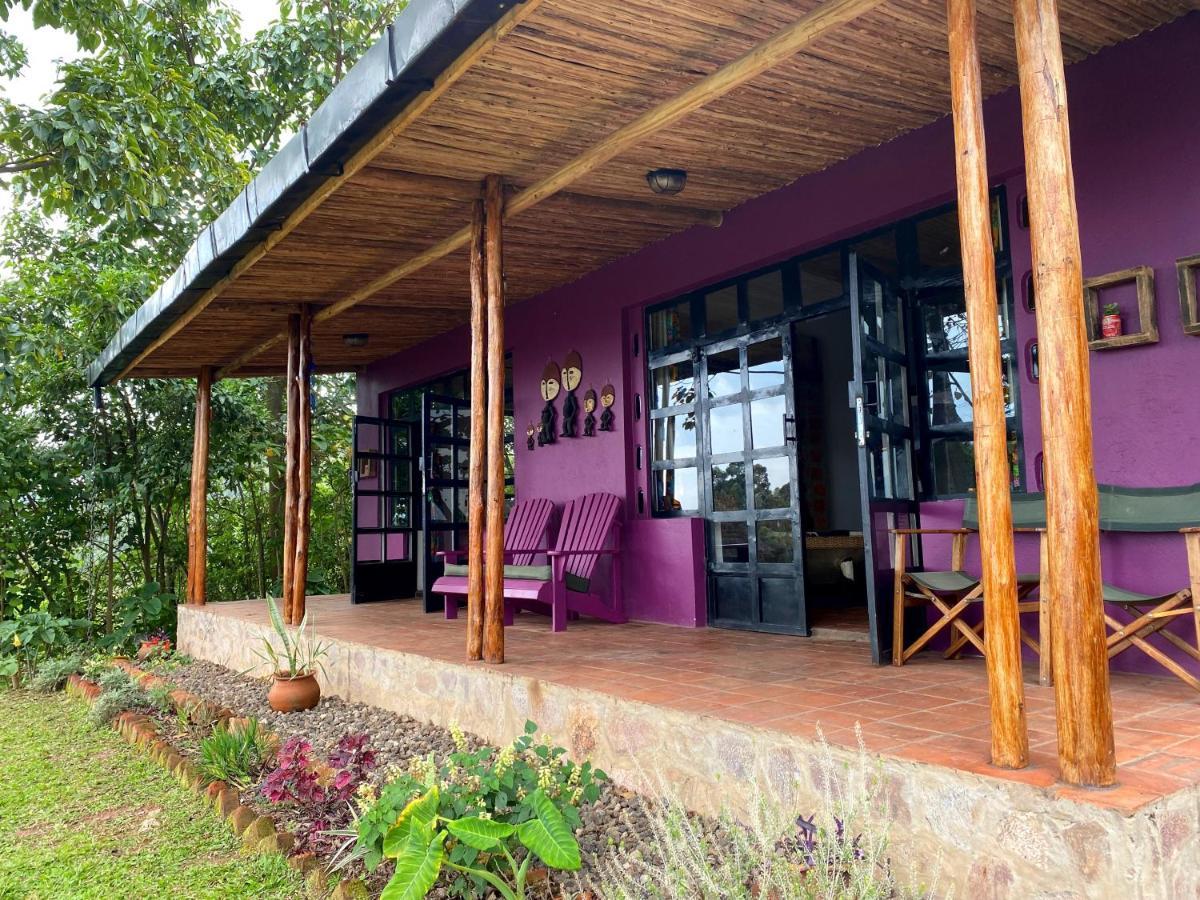 Chameleon Hill Forest Lodge Bwindi Impenetrable Park Екстериор снимка