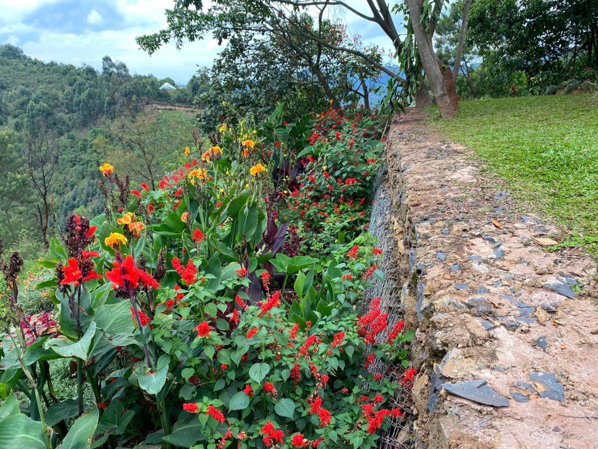Chameleon Hill Forest Lodge Bwindi Impenetrable Park Екстериор снимка