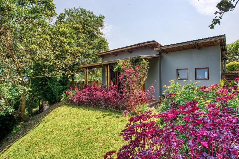 Chameleon Hill Forest Lodge Bwindi Impenetrable Park Екстериор снимка