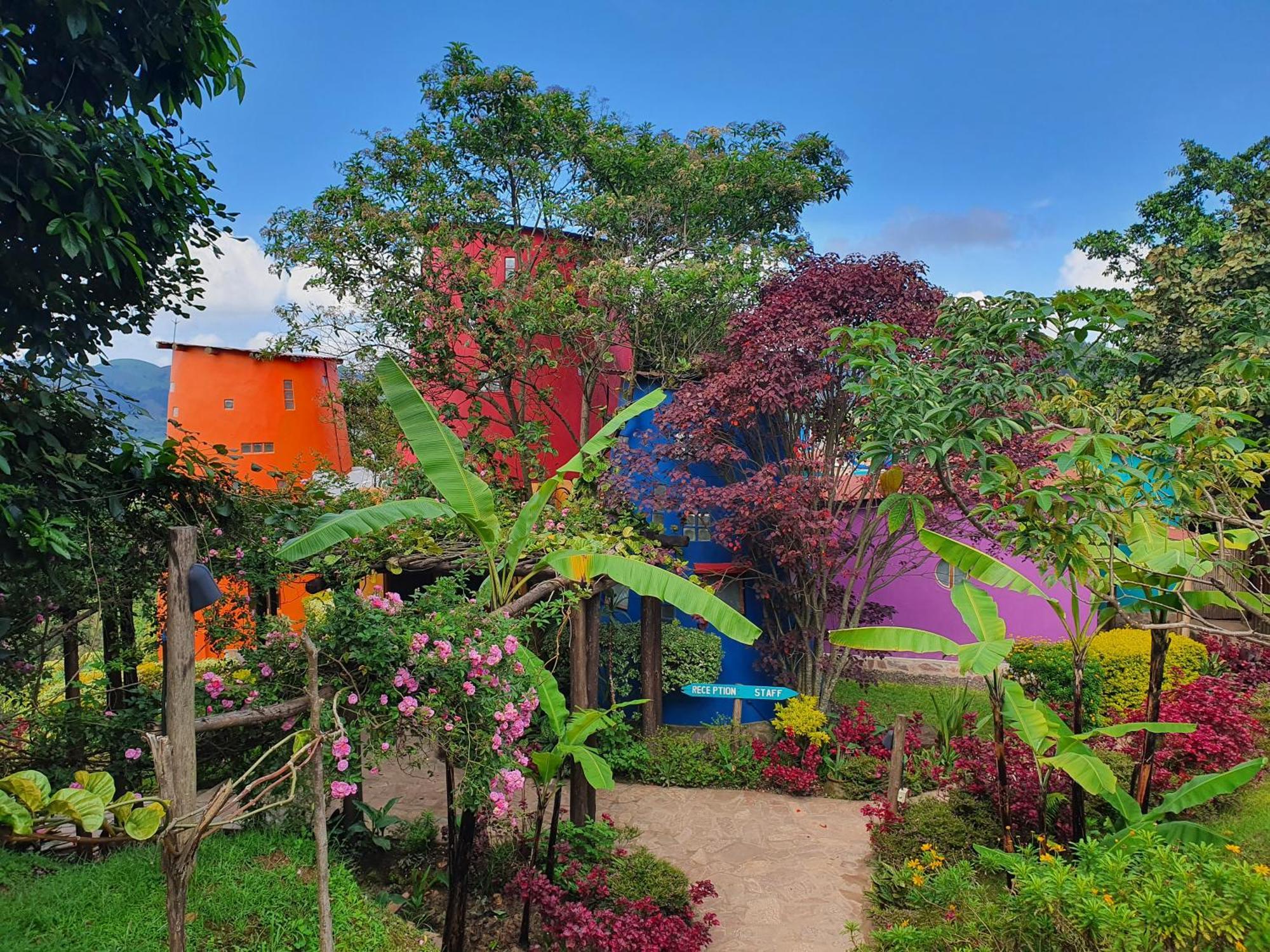Chameleon Hill Forest Lodge Bwindi Impenetrable Park Екстериор снимка